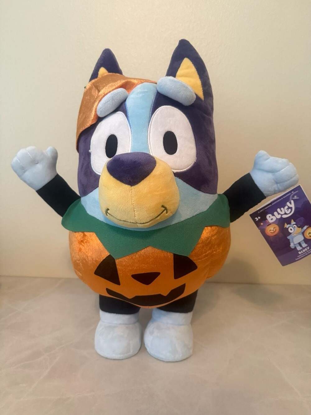 Bluey Pumpkin Halloween Greeter 18.5 Inch
